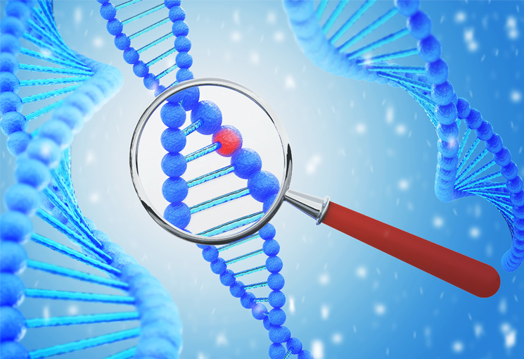 DNA under a magnifying glass
