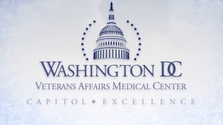 Washington DC VA Medical Center Capitol Excellence Logo